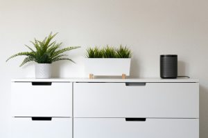 Espaces verts intérieurs pour apporter une touche de nature dans la maison. 